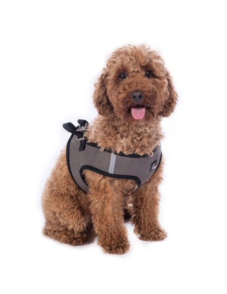 Harnais pour chien -Buddy HKM