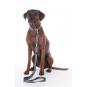 Laisse de dressage pour chiens -Anam Cara- nylon HKM