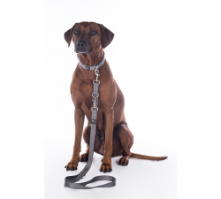 Laisse de dressage pour chiens -Anam Cara- nylon HKM