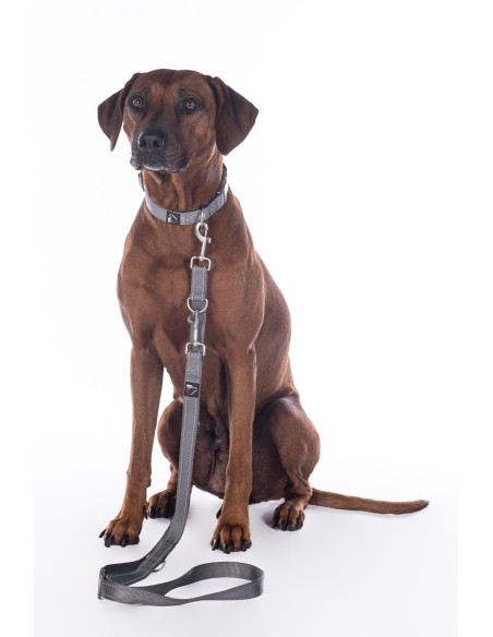 Laisse de dressage pour chiens -Anam Cara- nylon HKM