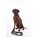 Laisse de dressage pour chiens -Anam Cara- nylon HKM