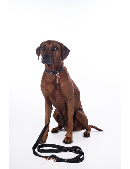 Laisse de dressage pour chiens -Anam Cara- nylon HKM