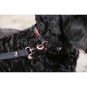 Laisse de dressage pour chiens -Anam Cara- nylon HKM