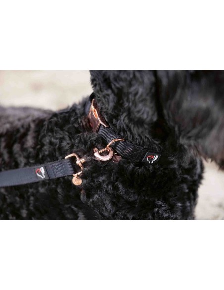 Laisse de dressage pour chiens -Anam Cara- nylon HKM