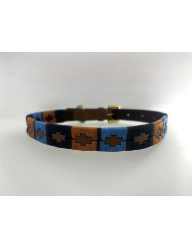 Collier pour chien HV Polo Camila