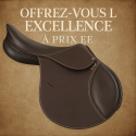 Selle cuir mixte Barry de TdeT