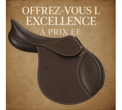 Selle cuir mixte Barry de TdeT