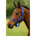 Licol cheval nylon attache rapide Les indispensables EE