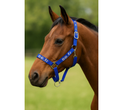 Licol cheval nylon attache rapide Les indispensables EE