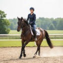 Pantalon Zohra diamond NEW Euro Star