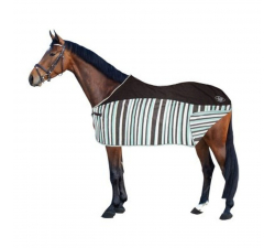 Couverture polaire Zébre