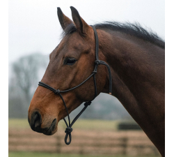 Ethologisches Halfter new Knoten von fiador EE