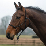 Ethologisches Halfter new Knoten von fiador EE