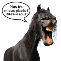 Bridon cuir 1
