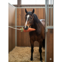 Jouet de box pour chevalx