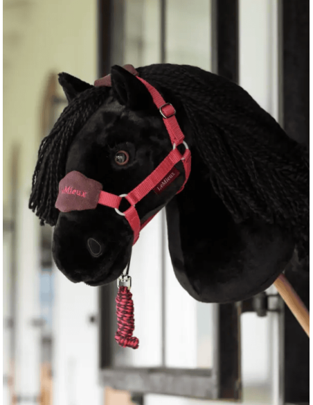 Hobby Horse Lemieux
