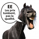 Pinceau pour sabot avec pot Assorties 