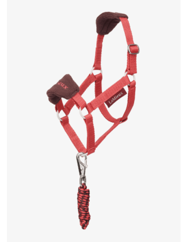 Licol et longe Vogue Hobby Horse Blossom LeMieux