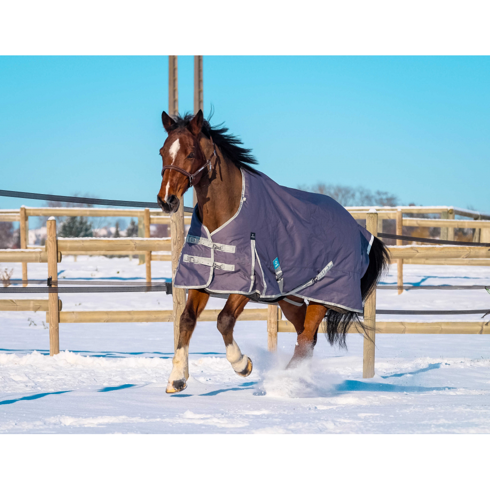 Couverture d'équitation Horseware pour transport Couverture d'équitation Horseware pour transport