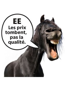 EE Sangle Courte Coton 2