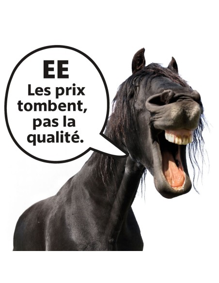 Amortisseur de dos Best-Price