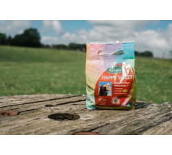 Bonbons à la pomme Happy Sweet RAVENE