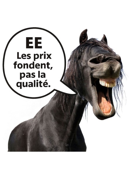 Eponge en forme de cheval prix dégréssifs