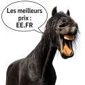 cure-pieds-brosse-couleurs