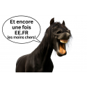 Sacoche de randonnée cuir trois sanglons les indispensables EE