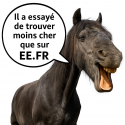 Peigne à crins crinière cheval GM les indispensables EE