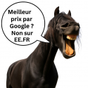 Cure pieds brosse tete de cheval