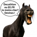 Elastiques à natter crinière cheval 500 pièces Meilleur prix d'Europe Blanc