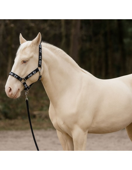 Licol + longe EE Club