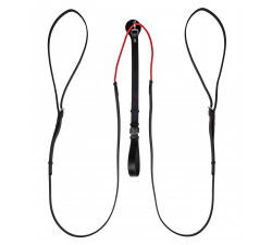 W-trainRein Waldhausen