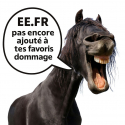 Rênes éducatives en coton DMH