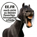 Frontal chasse mouches