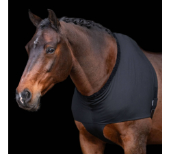 Protección de pecho y hombros