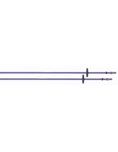 Rênes lisses Biotack taille poney TdeT