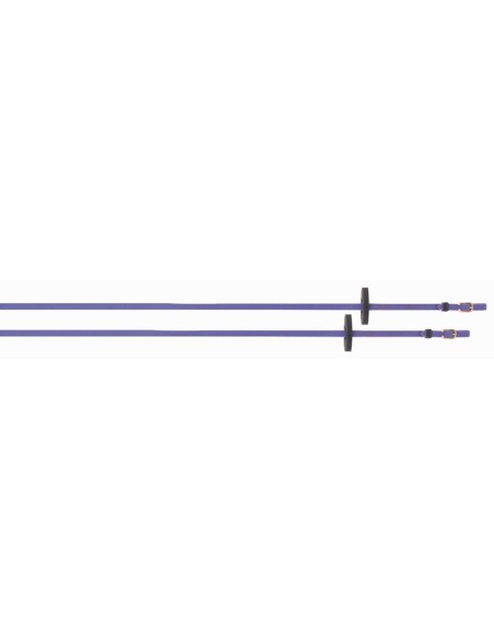 Rênes lisses Biotack taille poney TdeT