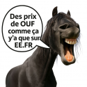 Couverture polaire Zébre