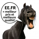 Rênes cuir western ouverte ou équitation naturelle