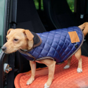 Manteau pour petit chien HVPBobby HV-Polo