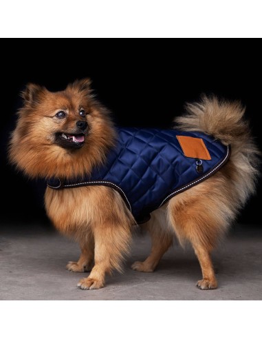 Mantel für kleine Hunde HVPBobby HV-Polo