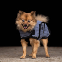 Manteau pour chien HVPFranka HV-Polo