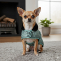 Manteau chihuahua IRHAmbient Imperail-Riding