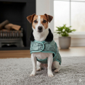 Manteau Jack Russell IRHAmbient Imperail-Riding