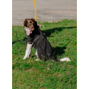 Couverture pour chien EQUITHÈME - Softshell