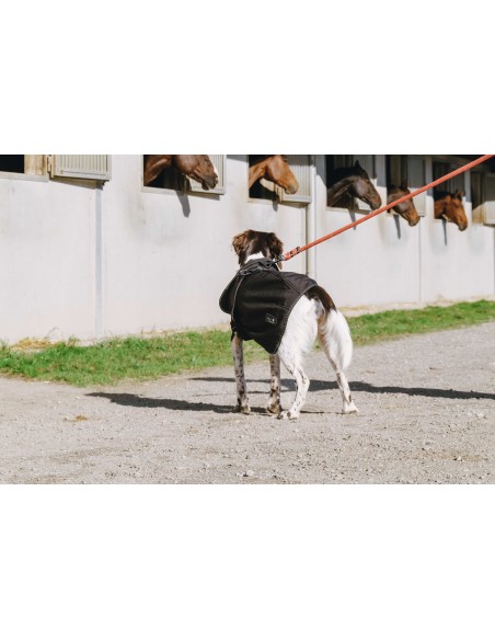 Manta para perro EQUITHÈME - Softshell