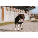 Couverture pour chien EQUITHÈME - Softshell