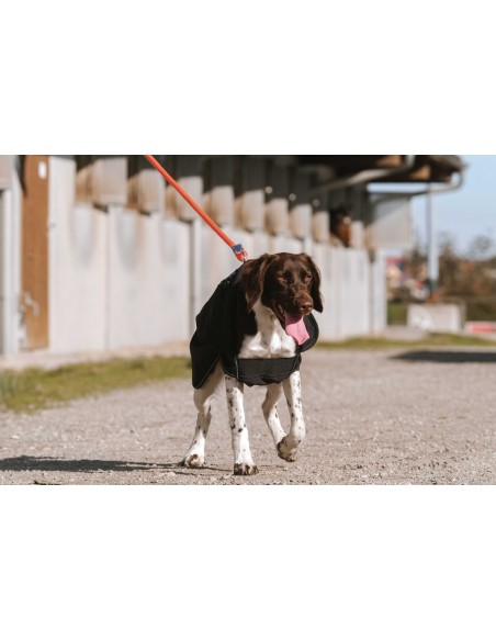 Manta para perro EQUITHÈME - Softshell
